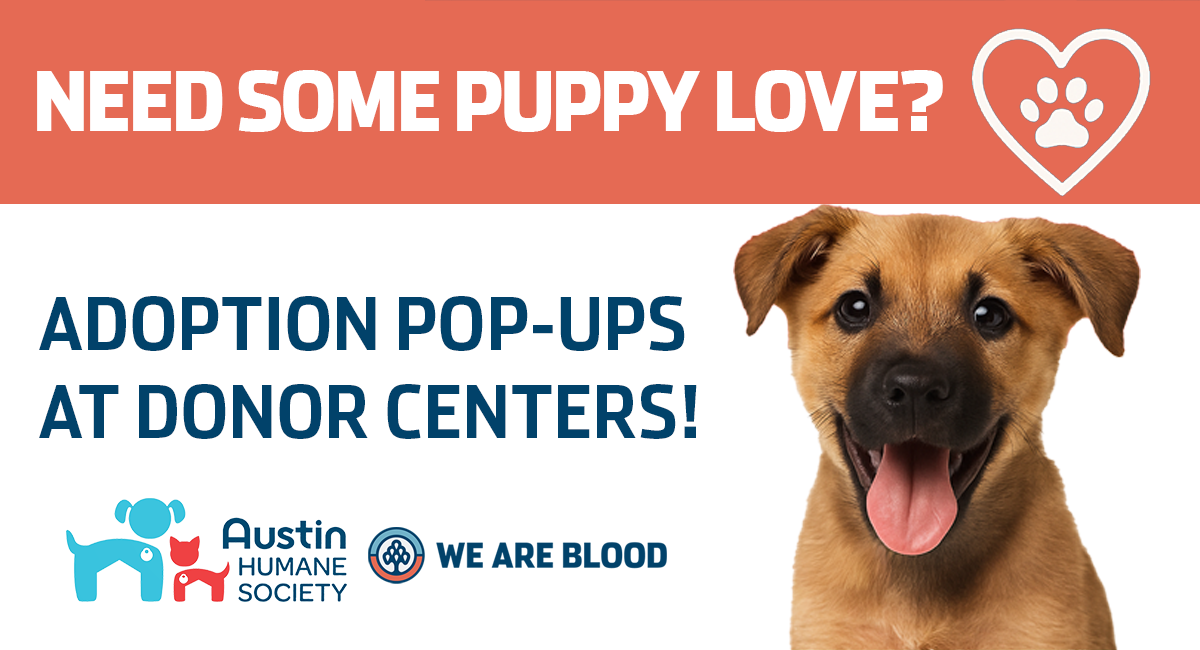 Furry Friend Adoption Days at We Are Blood